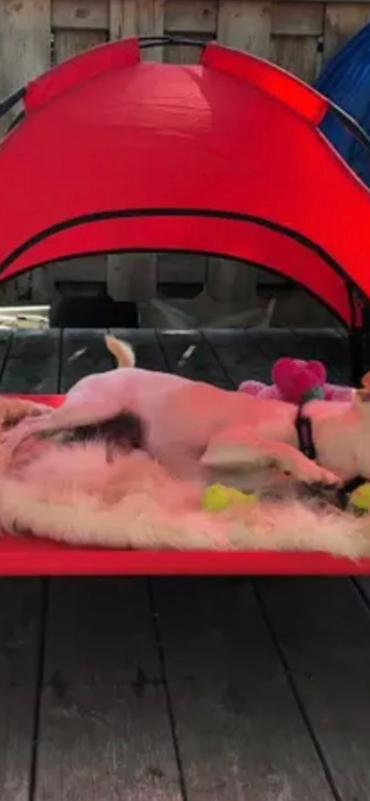Tactical Outdoor Dog Canopy-Red Edition