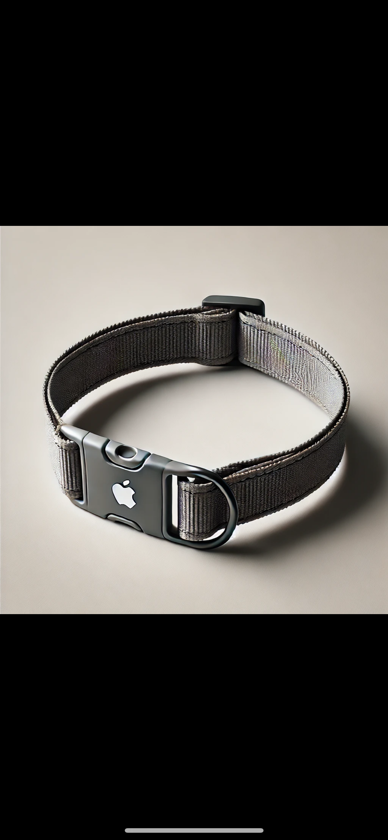 The Sam Safety Collar