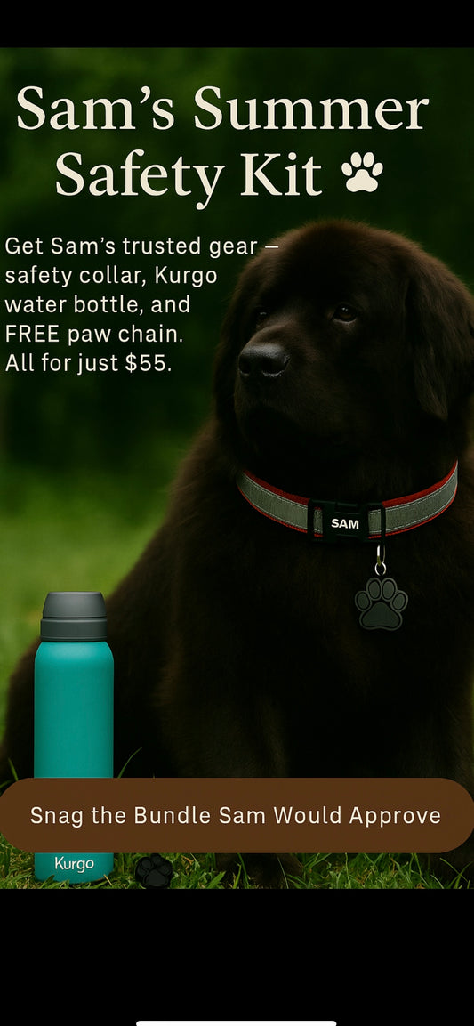 Sam’s Summer Safety Kit- Collar, Kurgo Bottle + FREE paw keychain