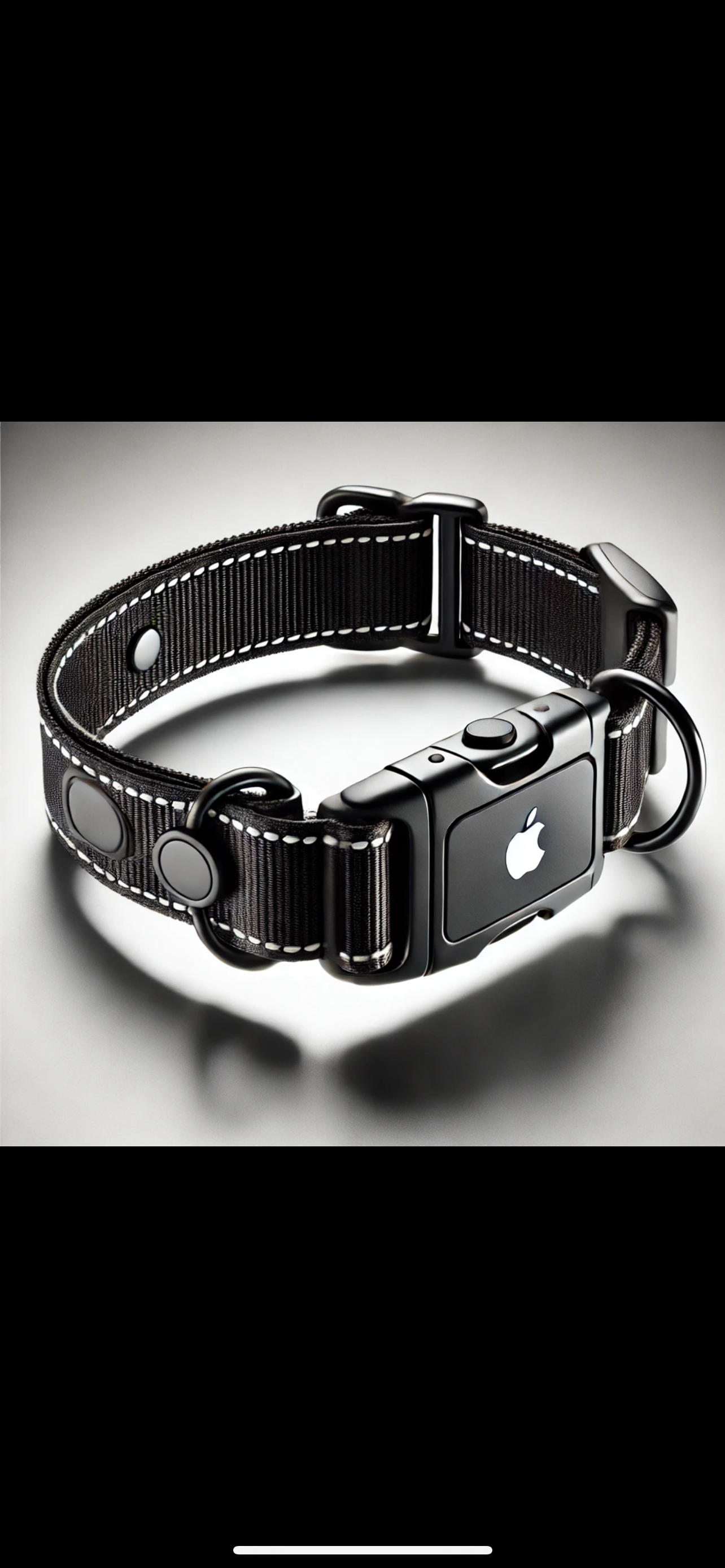 The Sam Safety Collar